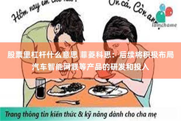 股票里杠杆什么意思 菲菱科思：后续将积极布局汽车智能网联等产品的研发和投入