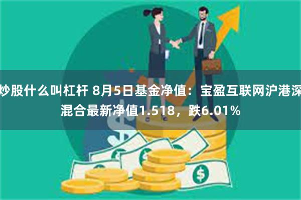 炒股什么叫杠杆 8月5日基金净值：宝盈互联网沪港深混合最新净值1.518，跌6.01%