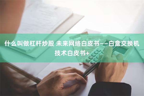 什么叫做杠杆炒股 未来网络白皮书——白盒交换机技术白皮书+