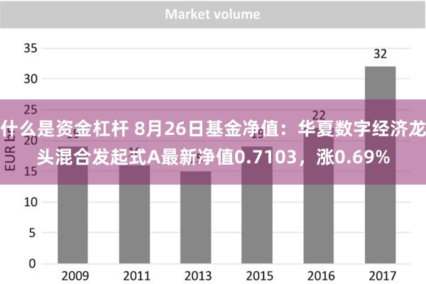 什么是资金杠杆 8月26日基金净值：华夏数字经济龙头混合