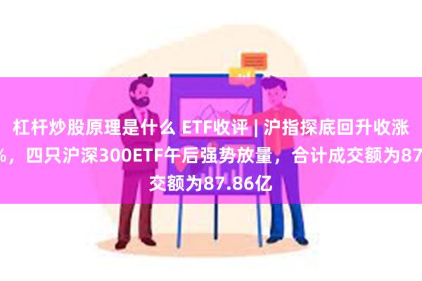 杠杆炒股原理是什么 ETF收评 | 沪指探底回升收涨0.