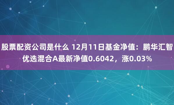 股票配资公司是什么 12月11日基金净值：鹏华汇智优选混合A最新净值0.6042，涨0.03%