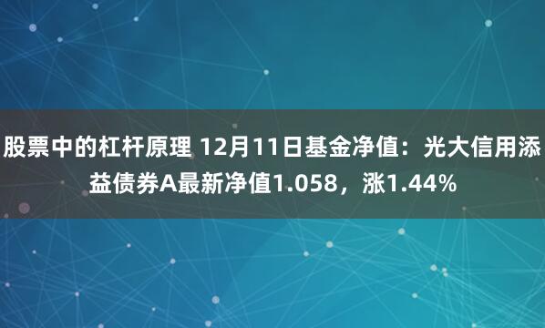 股票中的杠杆原理 12月11日基金净值：光大信用添益债券A最新净值1.058，涨1.44%