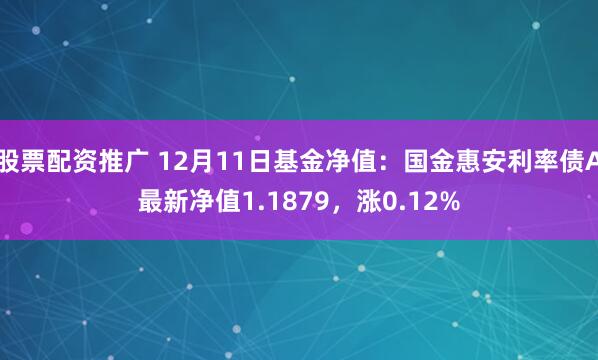 股票配资推广 12月11日基金净值：国金惠安利率债A最新净值1.1879，涨0.12%