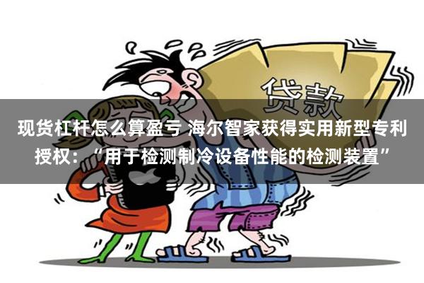 现货杠杆怎么算盈亏 海尔智家获得实用新型专利授权：“用于检测制冷设备性能的检测装置”