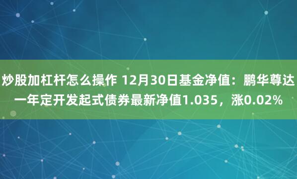 炒股加杠杆怎么操作 12月30日基金净值：鹏华尊达一年定开发起式债券最新净值1.035，涨0.02%