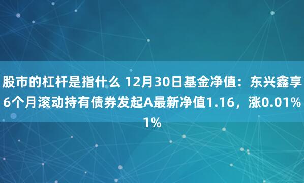 股市的杠杆是指什么 12月30日基金净值：东兴鑫享6个月滚动持有债券发起A最新净值1.16，涨0.01%