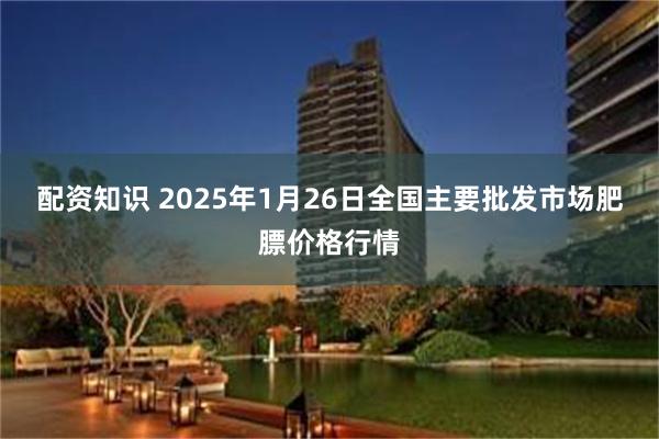 配资知识 2025年1月26日全国主要批发市场肥膘价格行情