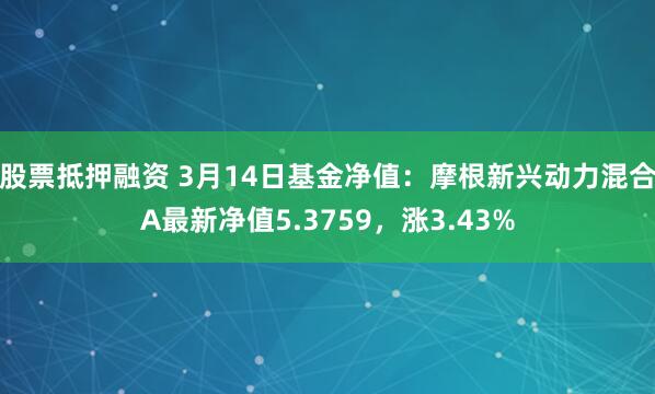 股票抵押融资 3月14日基金净值：摩根新兴动力混合A最新净值5.3759，涨3.43%